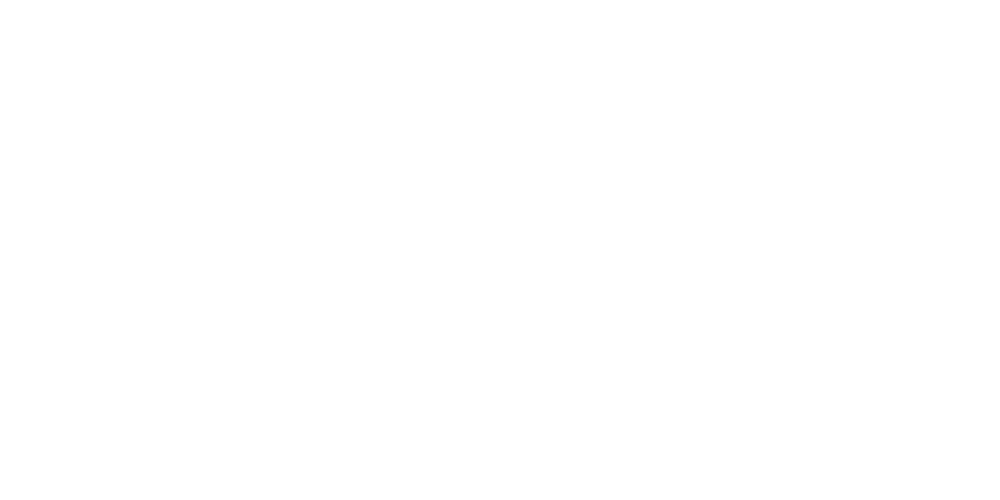 Official Selection | 43rd Denver Film Festival